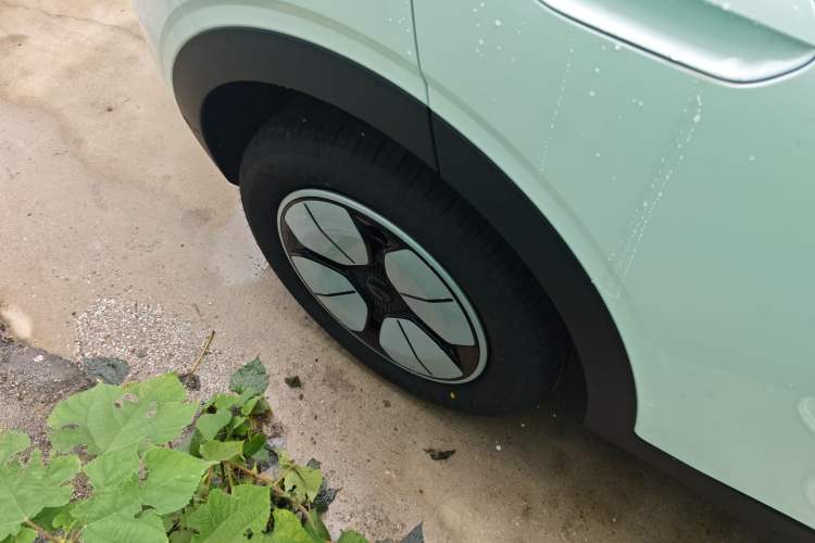 Used  Geome 2025 310km Youth Edition
