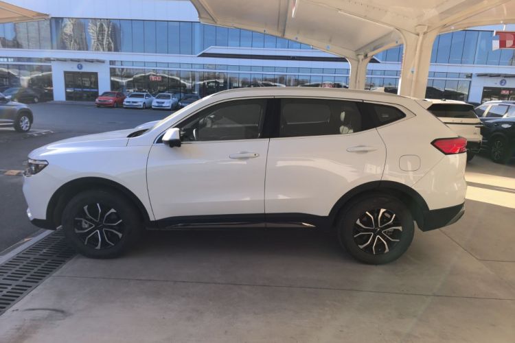 Used Haval H6 2023 National Trend Edition 1.5T Automatic Urban Version
