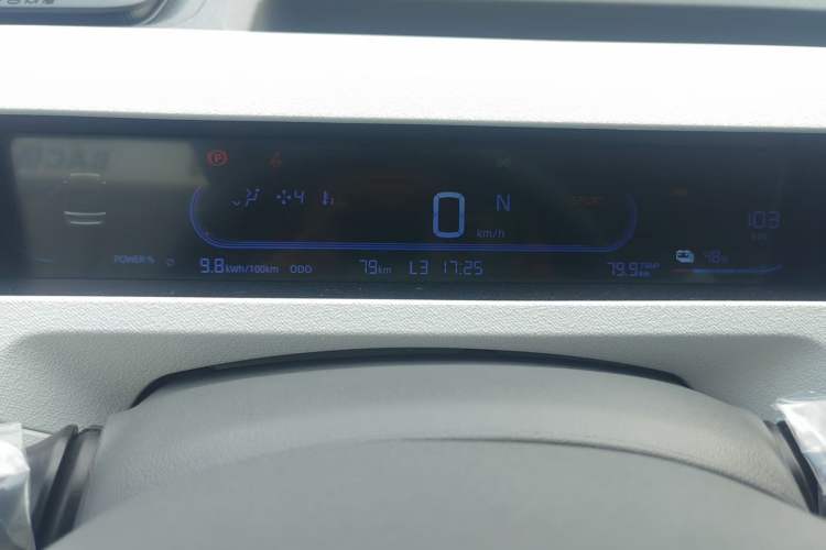 Used  Panda 2024 Panda Mini 200km Endurance Bear
