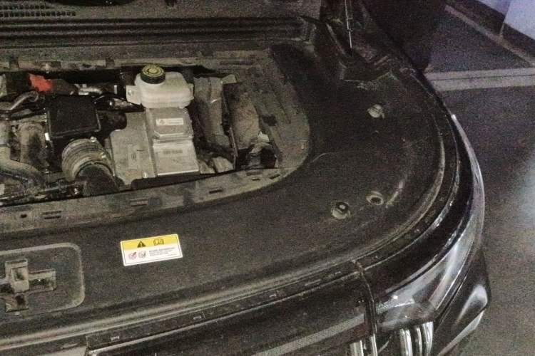 Used VOYAH Dream 2024 PHEV Ultra-Long Range Flagship Edition
