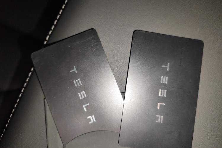 Used Tesla Model Y 2021 Standard Range Rear-Wheel Drive Version
