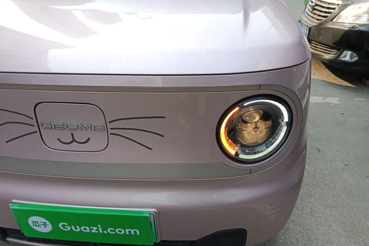 Used  Panda 2023 Panda Mini 200km Endurance Bear
