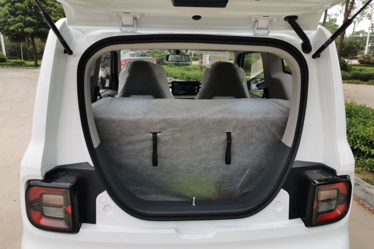 Used  Panda 2024 Panda Mini 200km Endurance Bear
