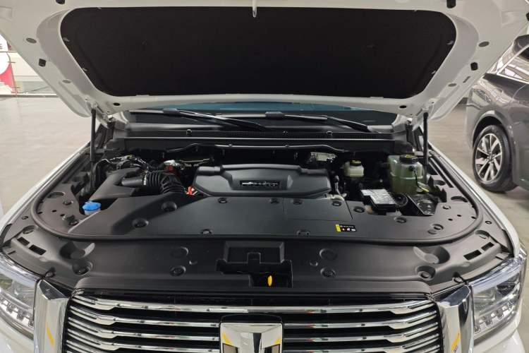 Used Tank 500 New Energy 2025 Hi4-Z
