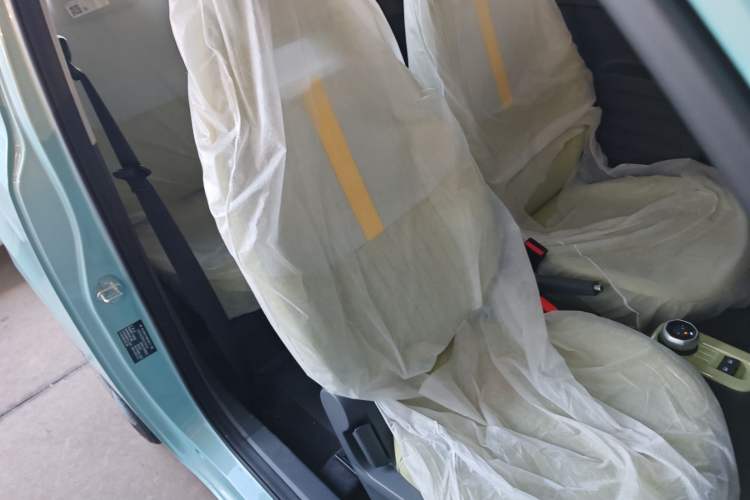 Used  Panda 2024 Panda Mini 200km Endurance Bear