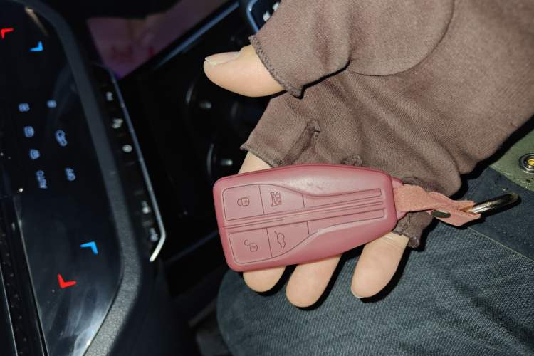 Used Hongqi HS5 2019 2.0T Smart Connect Flagship Edition
