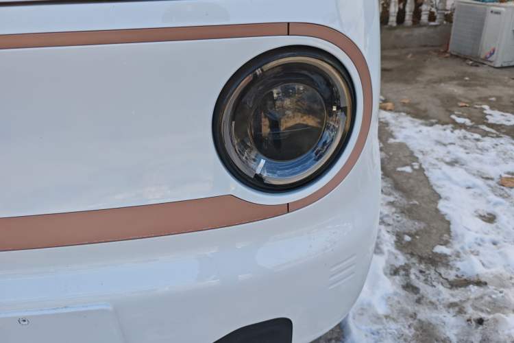 Used  Panda 2024 Panda Mini 200km Endurance Bear