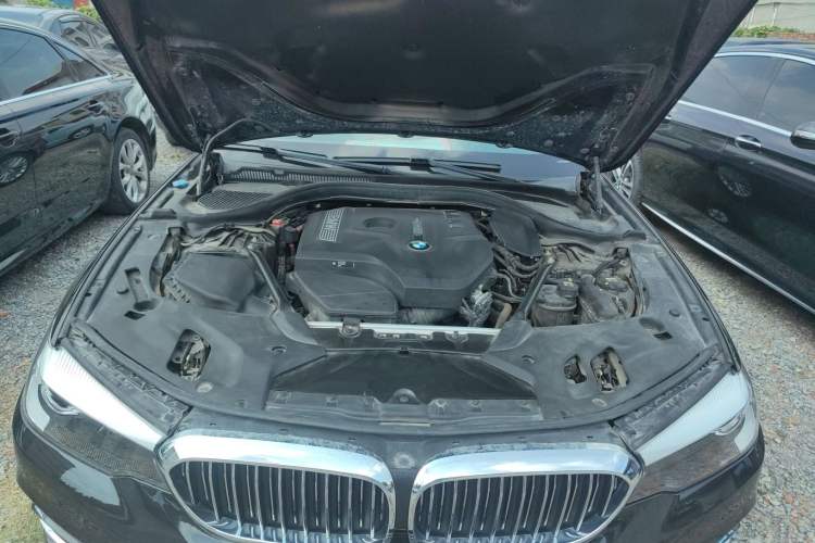 Used BMW 5 Series 2018 530Li xDrive Luxury Package
