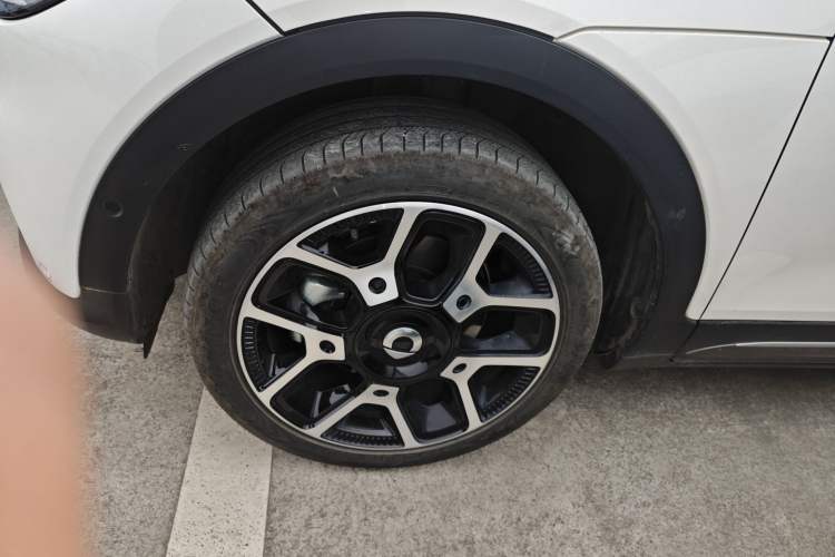 Used  #1 2022 Pulse Heartbeat Edition