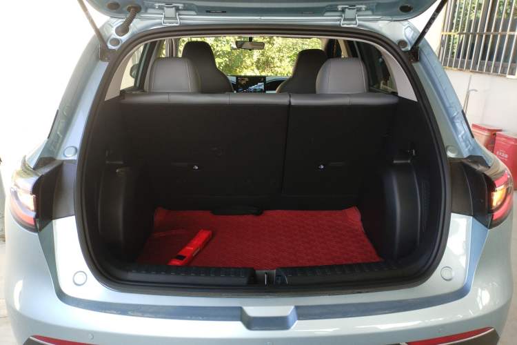 Used  Geome 2025 310km Youth Edition
