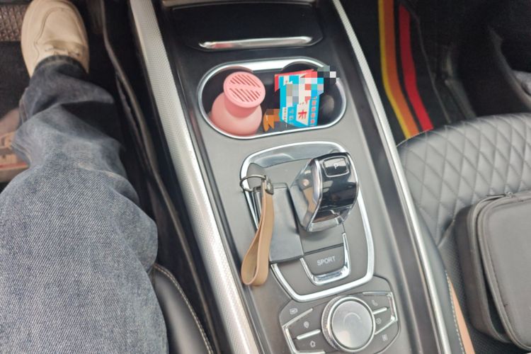 Used  TX 2021 Classic Edition 1.6T Four-Wheel Drive Star Enjoy Version