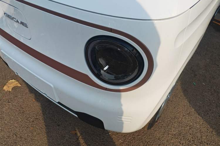 Used  Panda 2024 Panda Mini 200km Endurance Bear
