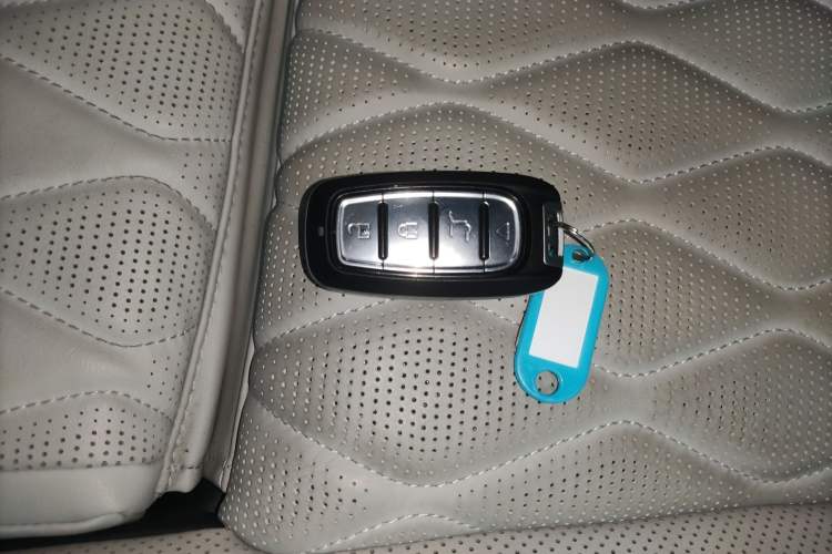 Used BYD Tang New Energy 2024 EV Glory Edition 730KM Premium Model
