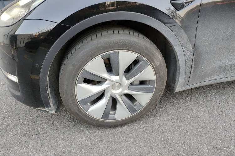 Used Tesla Model Y 2021 Standard Range Rear-Wheel Drive Version
