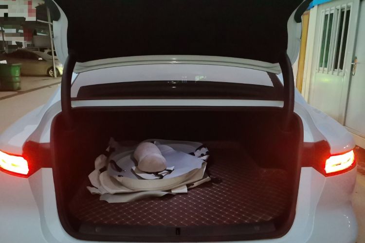 Used VOYAH PASSION 2023 Four-Wheel Drive Flagship Edition
