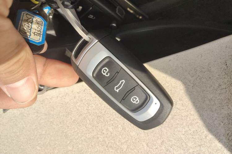 Used  Panda 2025 210 km – Yuanqi Bear
