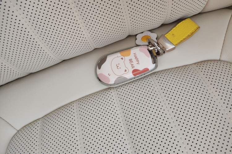 Used ORA Good Cat 2024 401 km Range Luxury Version 135 kW