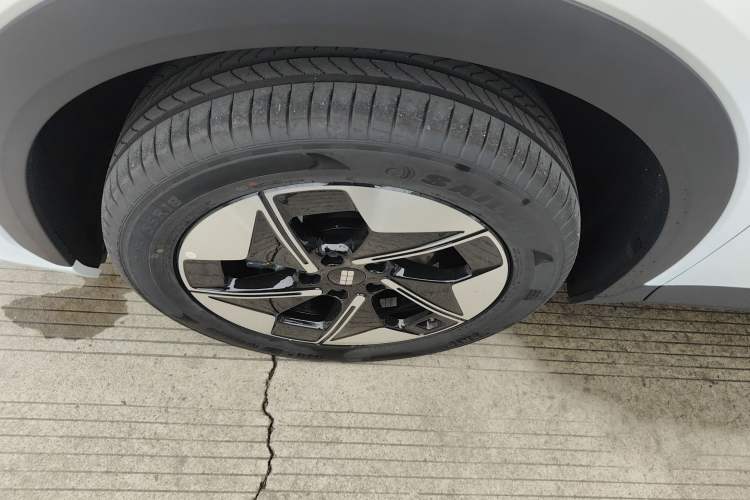 Used  E5 2024 Model 530km Business Edition