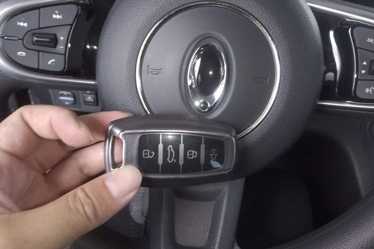 Used ORA White Cat 2020 305 km Luxury Version
