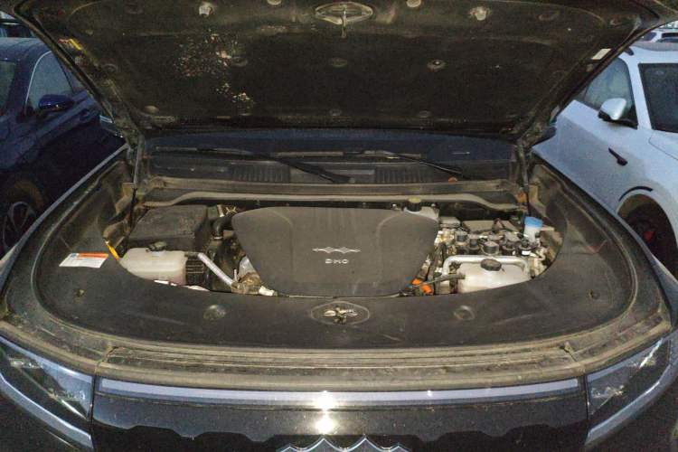 Used  Leopard 8 2025 Smart & Brave Flagship Edition 7 Seats
