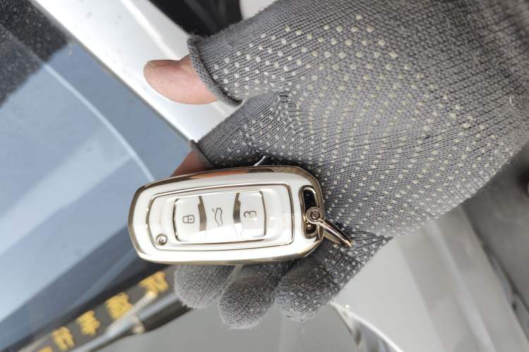 Used  Panda 2024 Panda Mini 200km Endurance Bear