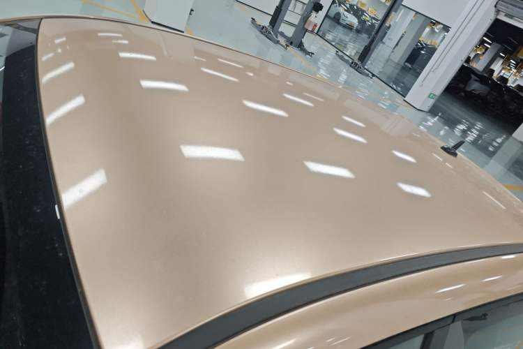 Used ORA Black Cat 2021 301km Cute Pet Edition