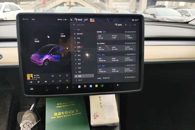 Used Tesla Model Y 2021 Standard Range Rear-Wheel Drive Version
