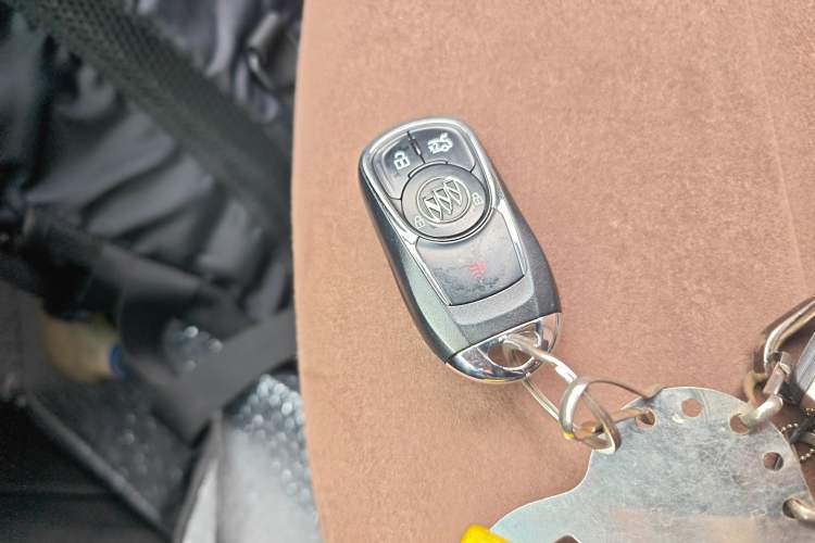 Used Buick Regal 2019 20T Elite Version China V Standard