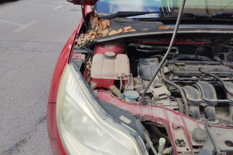 Used Ford Focus 2012 Hatchback 1.6L Manual Fashion Edition