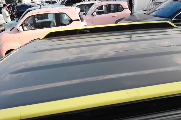 Used  Panda 2025 210km Panda Rider
