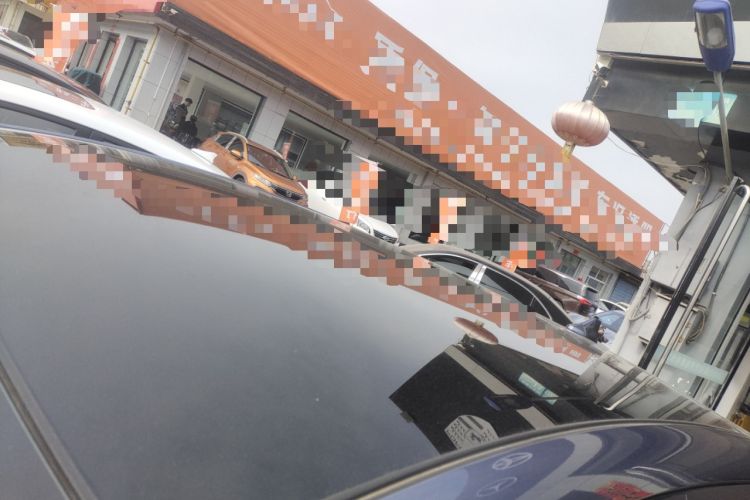 Used BYD Dolphin 2024 Honor Edition 420km Fashion Version