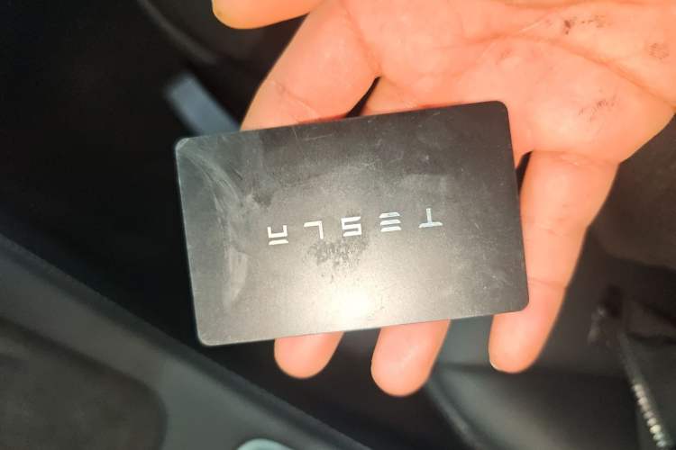 Used Tesla Model Y 2022 Revised Version Long-Range All-Wheel Drive
