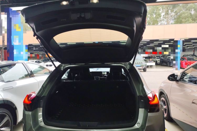 Used Lexus UX New Energy 2020 300e Pure·Joy Edition
