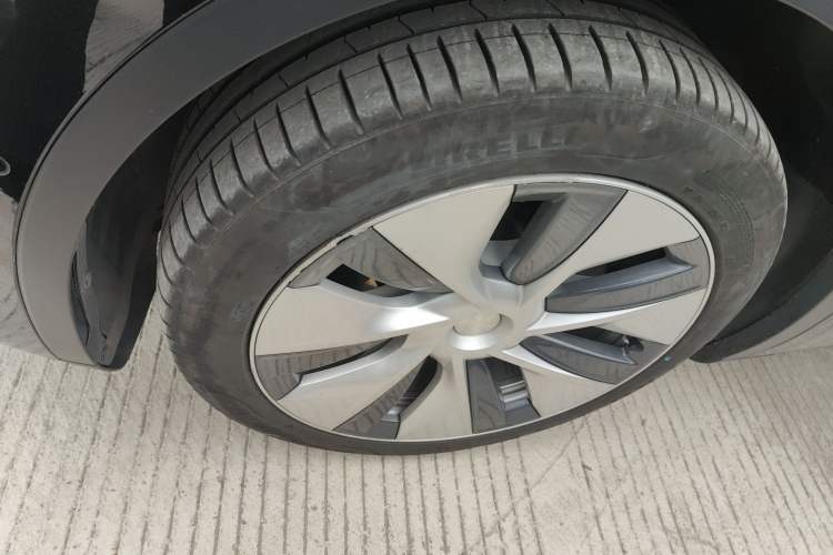 Used Tesla Model Y 2021 Standard Range Rear-Wheel Drive Version