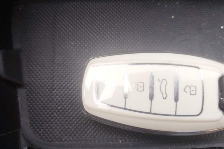 Used Haval F7 2019 2.0T Two-Wheel Drive i-Van China V standard
