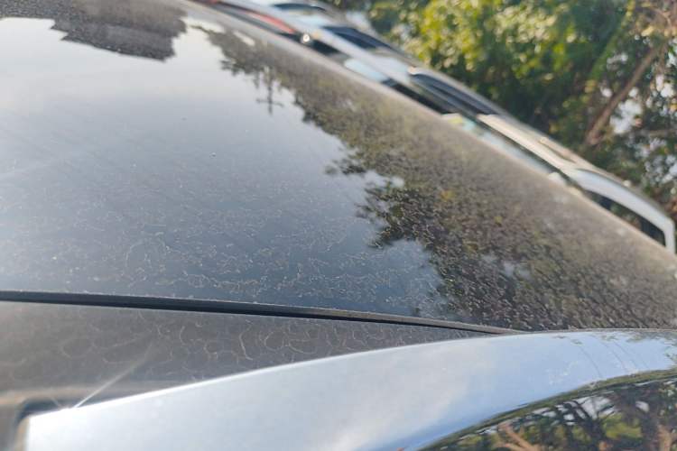 Used Kia Sportage R 2016 2.0L Automatic Two-Wheel Drive DLX