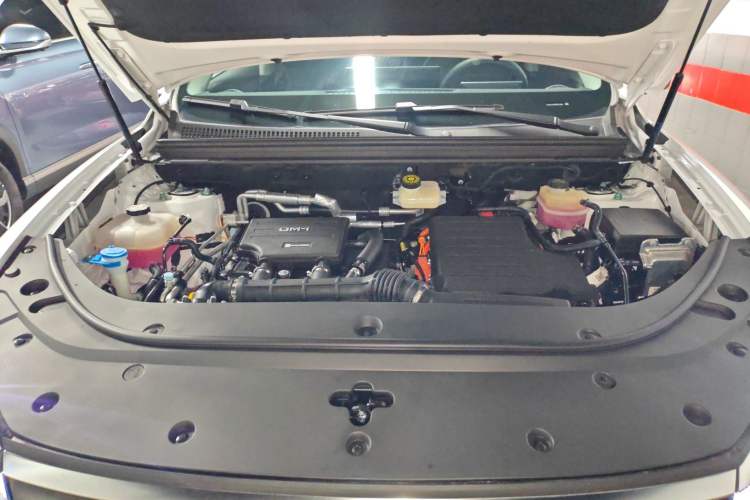 Used BYD Sealion 05 DM-i 2025 DM-i Smart Drive 115KM Flagship Model
