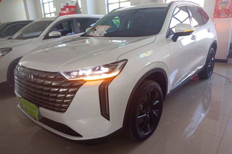 Used Haval H6 2024 1.5T Two-Wheel Drive Max
