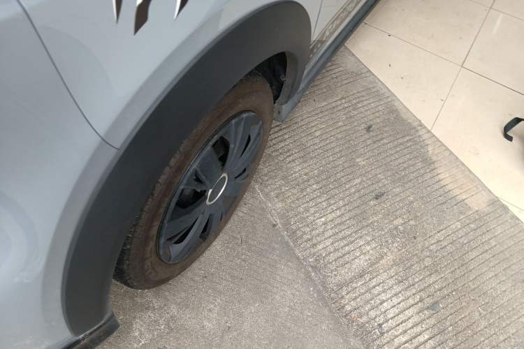 Used  Panda 2024 200km Panda Kart
