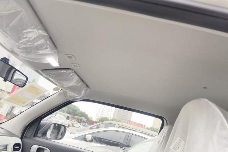 Used  Panda 2025 210 km – Yuanqi Bear
