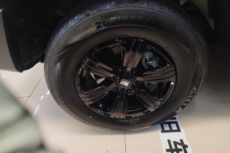 Used Tank 300 2025 2.0T Conqueror
