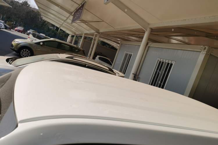 Used  Panda 2024 Panda Mini 200km Endurance Bear
