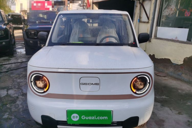 Used  Panda 2024 Panda Mini 200km Endurance Bear
