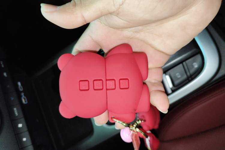 Used Tank 300 2024 2.0T Conqueror
