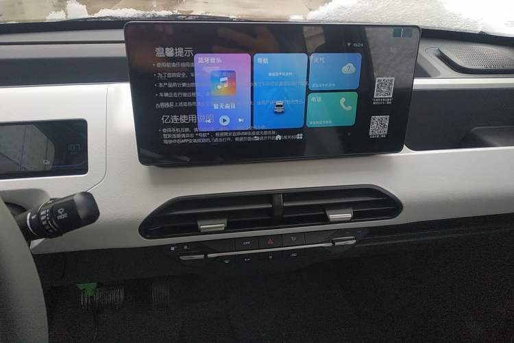 Used  Panda 2024 Panda Mini 200km Endurance Bear
