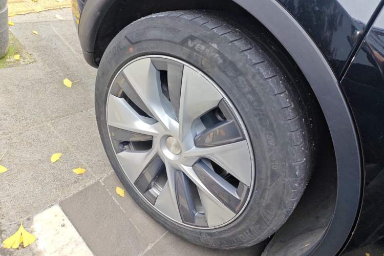 Used Tesla Model Y 2022 Rear-Wheel-Drive Version
