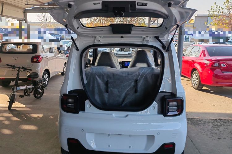 Used  Panda 2024 Panda Mini 200km Endurance Bear
