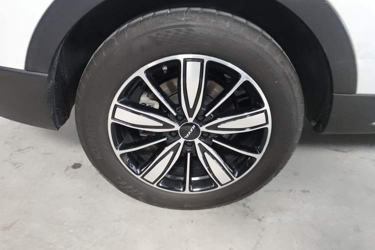 Used Haval H6 2023 National Trend Edition 1.5T Automatic Champion Version
