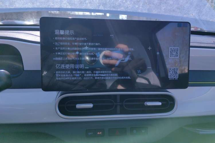 Used  Panda 2025 210 km – Yuanqi Bear