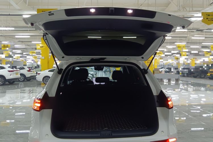 Used  E5 2026 Model 530km Launch Edition